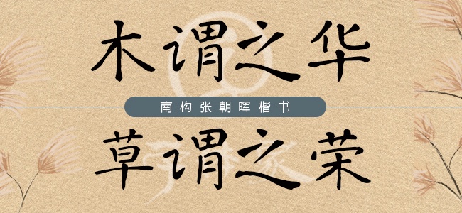 南构张朝晖楷书