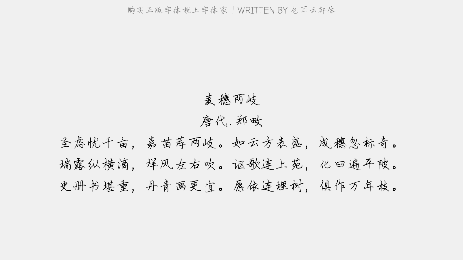 仓耳云轩体 - 麦穗两岐