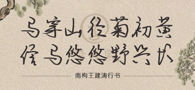 南构王建涛行书