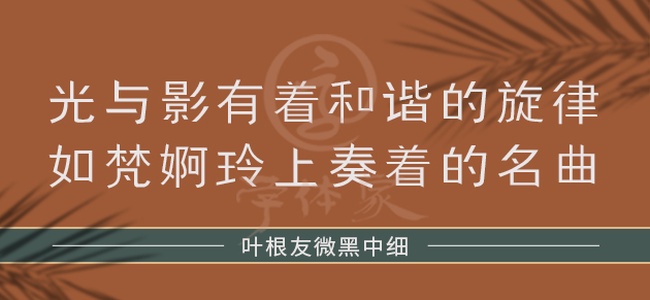 叶根友微黑中细