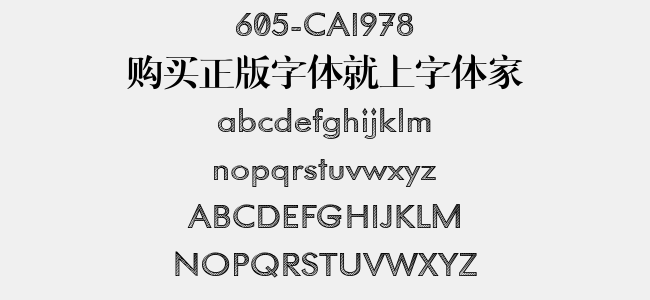 605-CAI978
