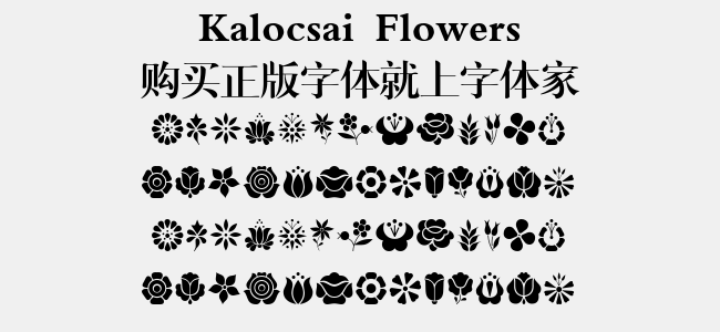 Kalocsai Flowers