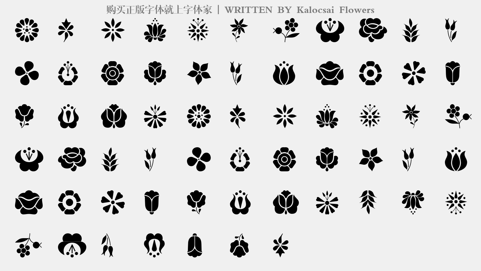 Kalocsai Flowers - 大写字母/小写字母/数字