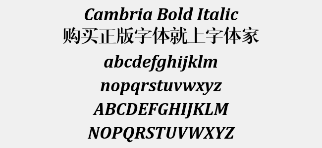 Cambria Bold Italic