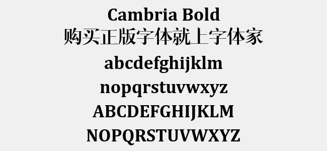 Cambria Bold