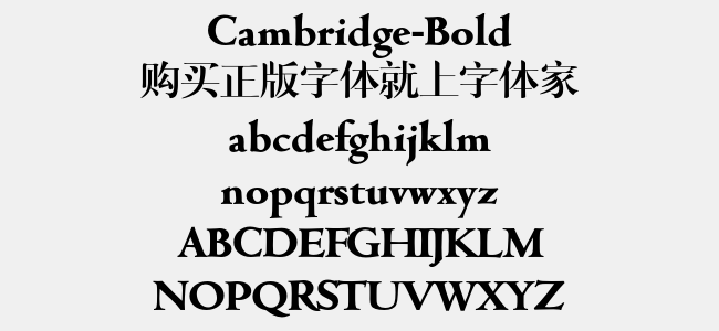 Cambridge-Bold