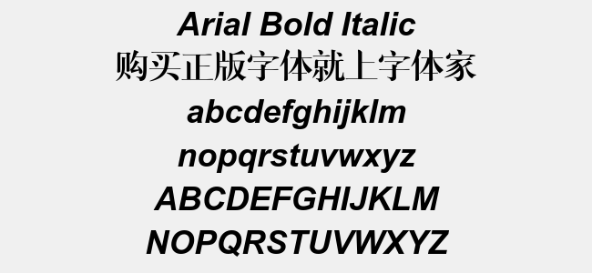 Arial Bold Italic