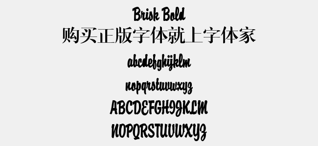 Brisk Bold