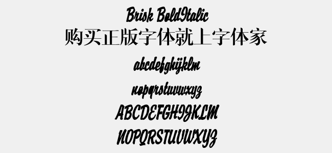 Brisk BoldItalic