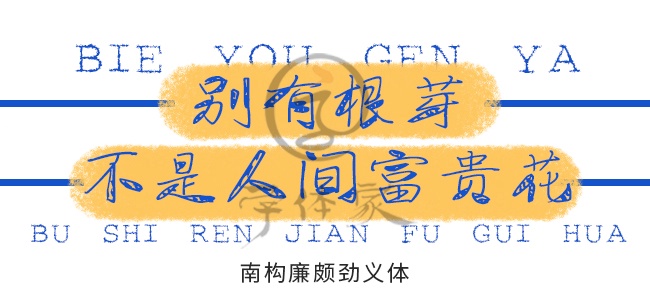 南构廉颇劲义体