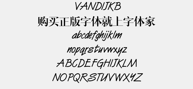 VANDIJKB