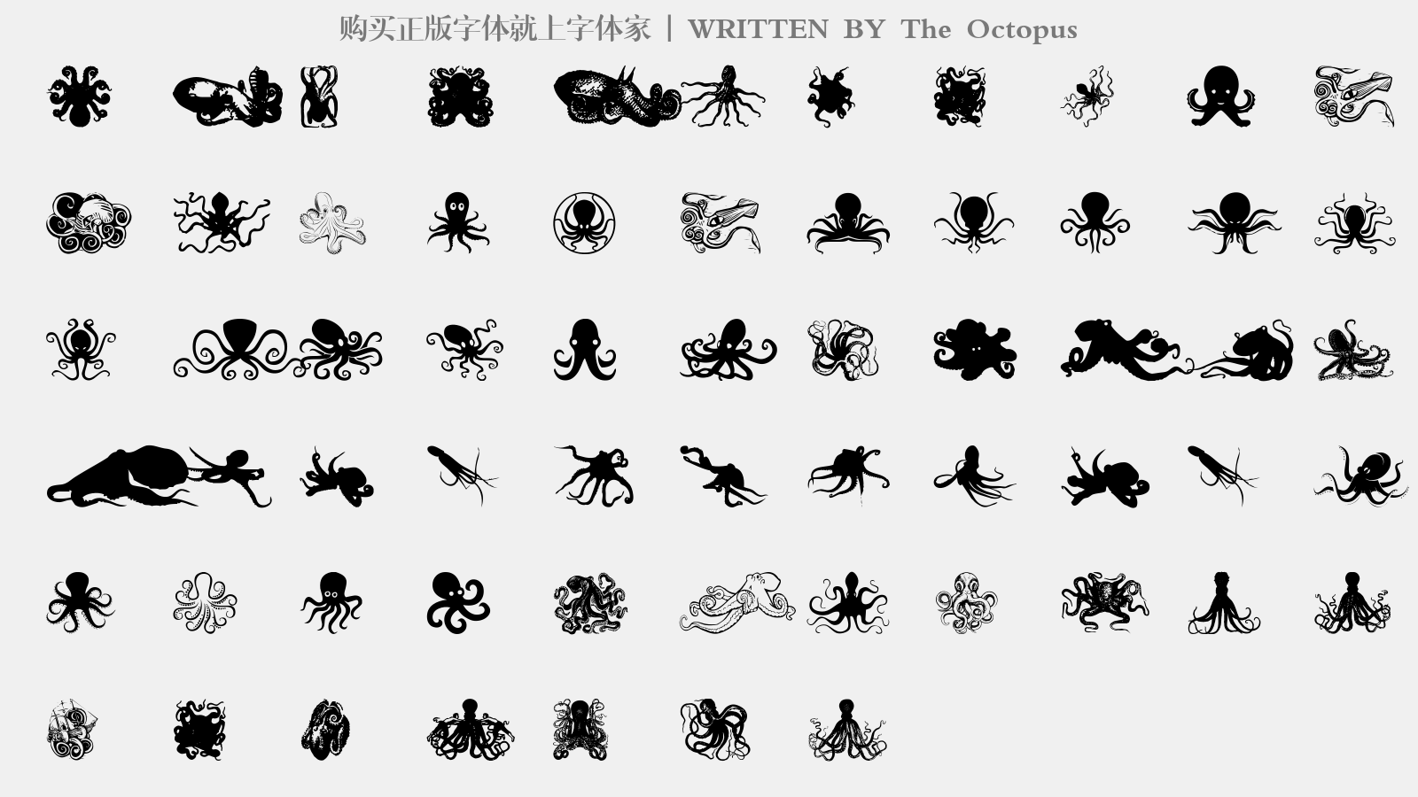 The Octopus - 大写字母/小写字母/数字