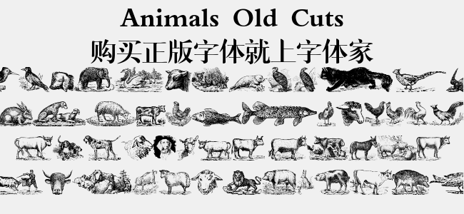 Animals Old Cuts