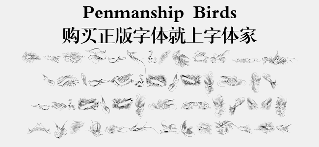 Penmanship Birds