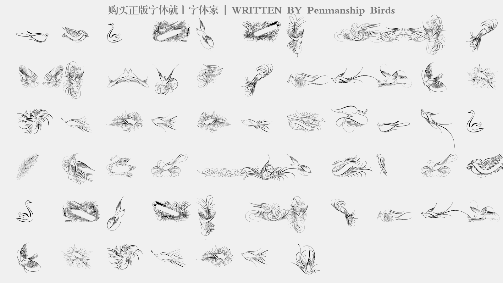 Penmanship Birds - 大写字母/小写字母/数字
