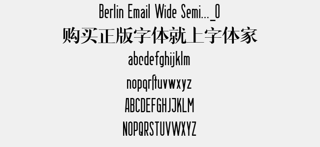Berlin Email Wide Semi..._0