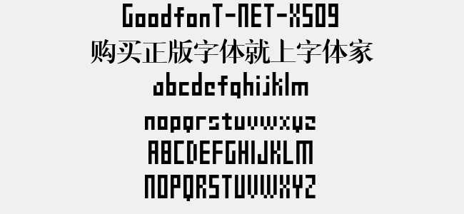 GoodfonT-NET-XS09