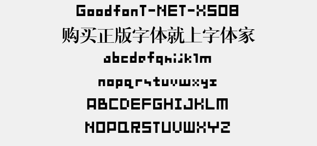 GoodfonT-NET-XS08