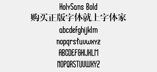 HolySans Bold