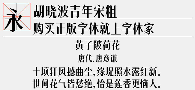 胡晓波青年宋粗