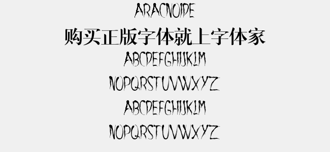 Aracnoide