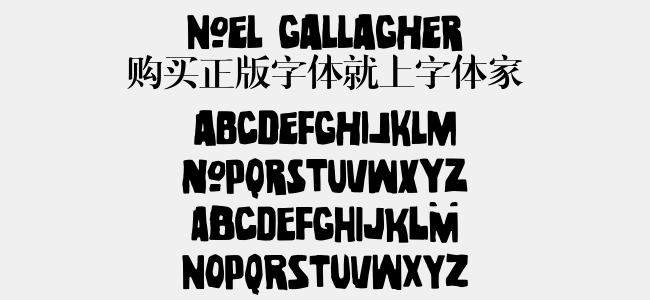 Noel Gallagher