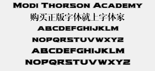 Modi Thorson Academy