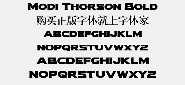 Modi Thorson Bold