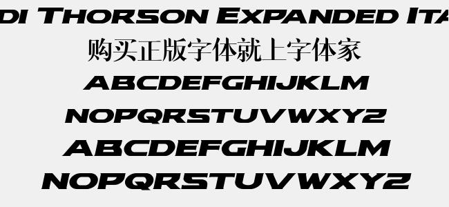 Modi Thorson Expanded Italic