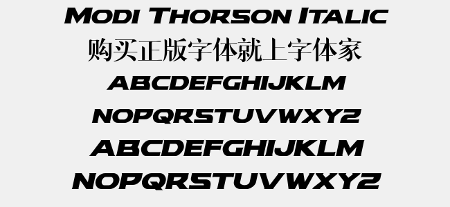Modi Thorson Italic