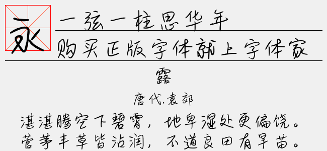 一弦一柱思华年
