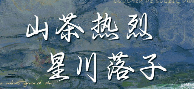 Aa山茶熱烈星川落子