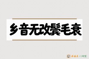 乡音无改鬓毛衰-字体家AI神笔