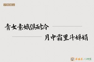 青女素娥俱耐冷月中霜里斗婵娟-字体家AI神笔
