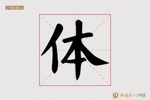 体-颜适AI颜楷