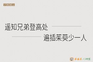 遥知兄弟登高处遍插茱萸少一人-字体家AI神笔