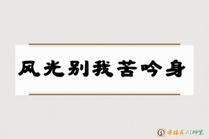 风光别我苦吟身-字体家AI神笔