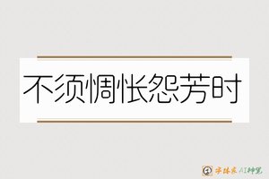 不须惆怅怨芳时-字体家AI神笔