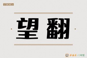 望翻-字体家AI神笔