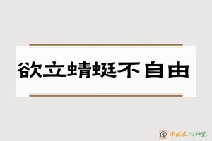欲立蜻蜓不自由-字体家AI神笔