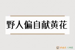 野人偏自献黄花-字体家AI神笔