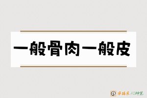 一般骨肉一般皮-字体家AI神笔