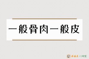 一般骨肉一般皮-字体家AI神笔