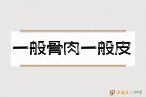 一般骨肉一般皮-字体家AI神笔