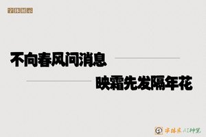 不向春风问消息映霜先发隔年花-字体家AI神笔