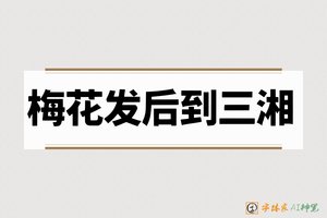 梅花发后到三湘-字体家AI神笔