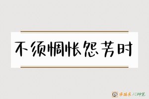 不须惆怅怨芳时-字体家AI神笔