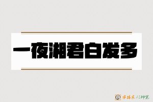 一夜湘君白发多-字体家AI神笔