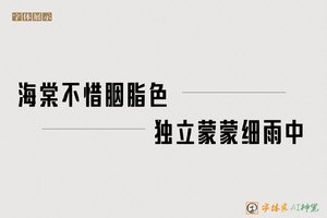 海棠不惜胭脂色独立蒙蒙细雨中-字体家AI神笔