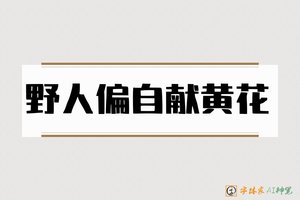 野人偏自献黄花-字体家AI神笔